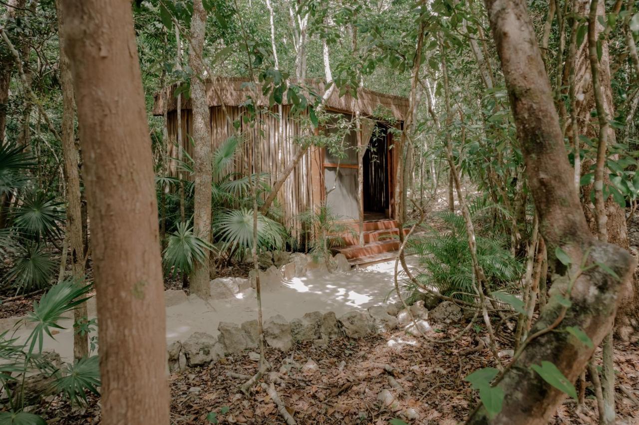 Naum - Secluded Villa With Private Cenote Tulum Dış mekan fotoğraf