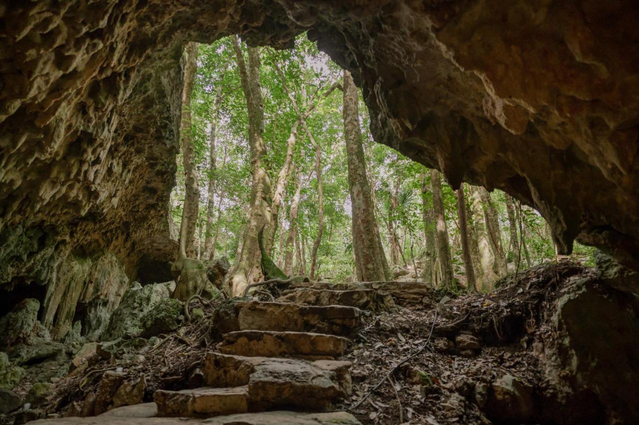 Naum - Secluded Villa With Private Cenote Tulum Dış mekan fotoğraf