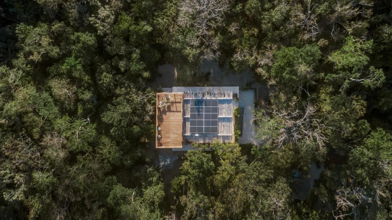 Naum - Secluded Villa With Private Cenote Tulum Dış mekan fotoğraf