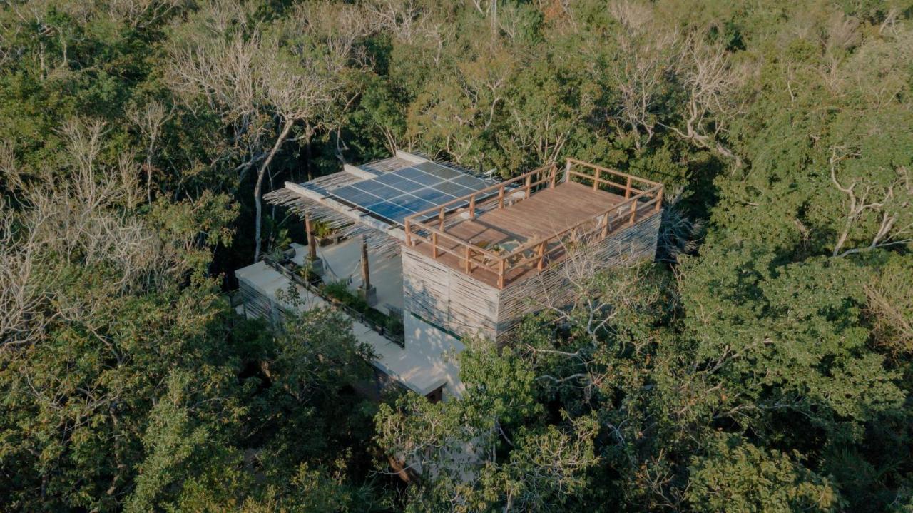 Naum - Secluded Villa With Private Cenote Tulum Dış mekan fotoğraf
